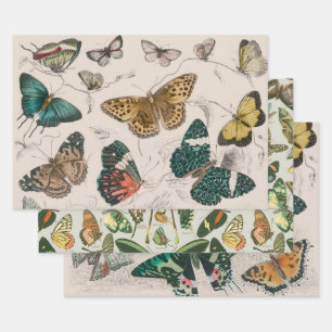 Antique Butterfly Illustration: 1820 Goldsmith Wrapping Paper Sheet