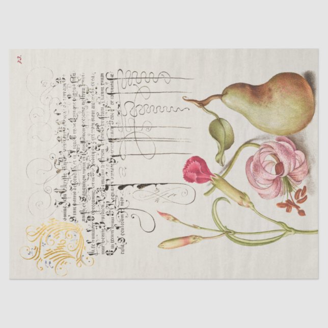 Antique Calligraphy and Drawing  Tissue Paper (Front)