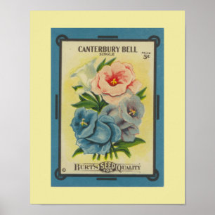 Antique Canterbury Bells Poster
