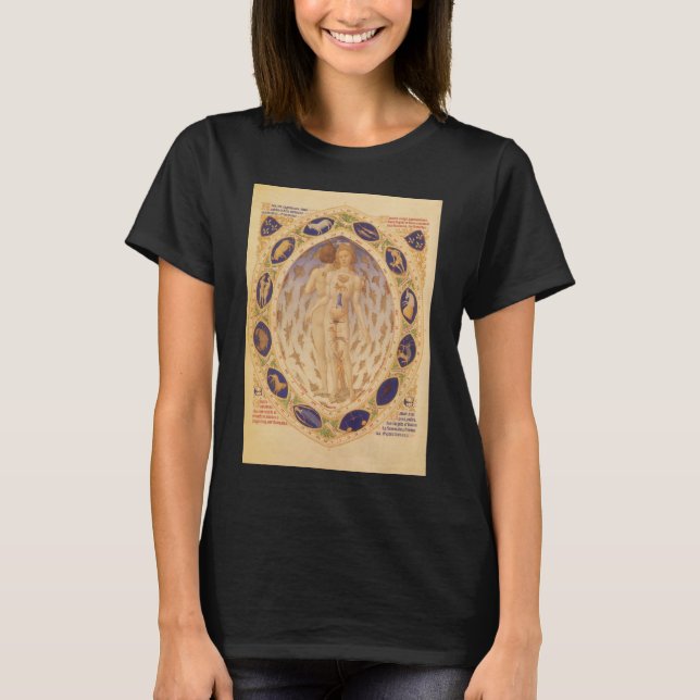 Antique Celestial Zodiac Chart, Vintage Astrology T-Shirt (Front)