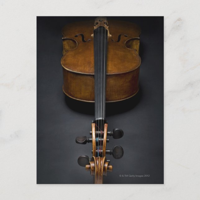 Antique Cello Postcard (Front)