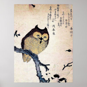 Antique Chinese Owl Print Poster