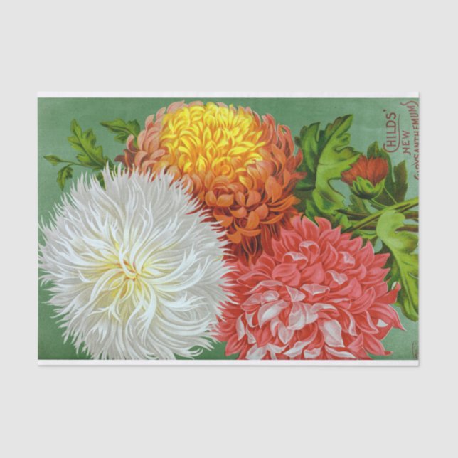 Antique Chrysanthemum Giants Tissue Paper (Front)