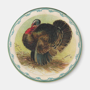 Antique Clapsaddle Turkey Magnet