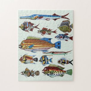 Antique Colourful Exotic Fish Natural History Prin Jigsaw Puzzle
