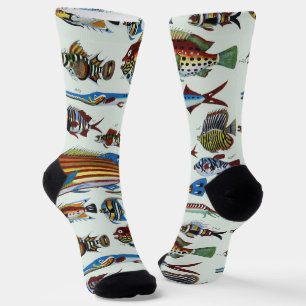 Antique Colourful Exotic Fish Natural History Prin Socks
