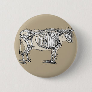 Antique Cow Skeleton Bones Fun 6 Cm Round Badge