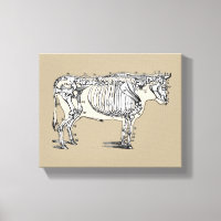 Antique Cow Skeleton Bones Fun