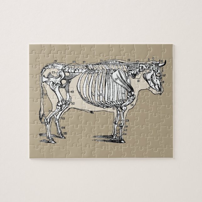 Antique Cow Skeleton Bones Fun Jigsaw Puzzle (Horizontal)