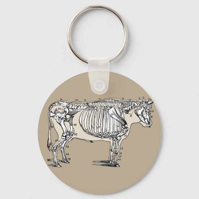 Antique Cow Skeleton Bones Fun Key Ring (Front)