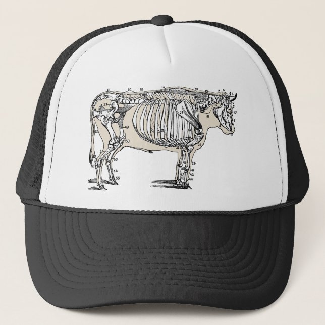Antique Cow Skeleton Bones Fun Trucker Hat (Front)