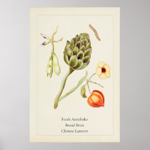 Antique Culinary Artichoke Botanical Art Print