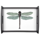 Antique Damselfly Typographic Dragonfly Drawing