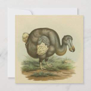 Antique Dodo Bird Natural History Flat Card
