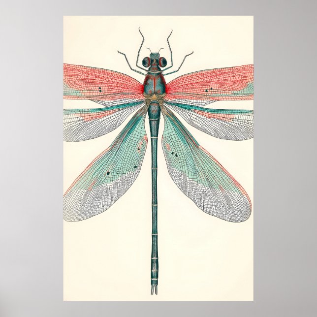 Antique Dragonfly Art Print Botanical Nature (Front)