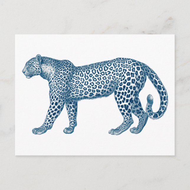 Antique drawing of a Leopard Postcard (Front)