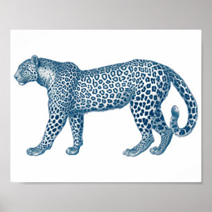 Antique drawing of a Leopard Poster