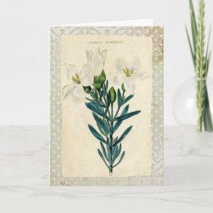 Antique Easter Lily Holiday Card