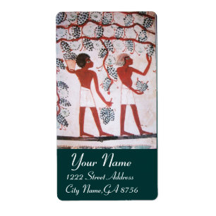 ANTIQUE EGYPTIAN VINEYARD WINE GRAPE HARVEST