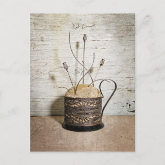 Antique Embalming Needles & Trocars Postcard