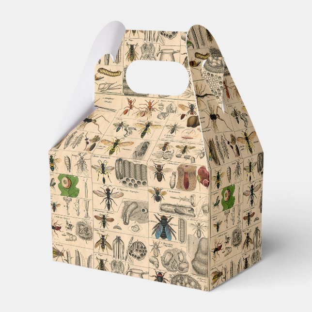 Antique Entomology Bees Wasps Natural History Favour Box (Front Side)