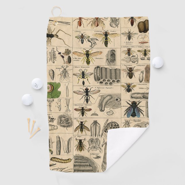 Antique Entomology Bees Wasps Natural History Golf Towel (InSitu)
