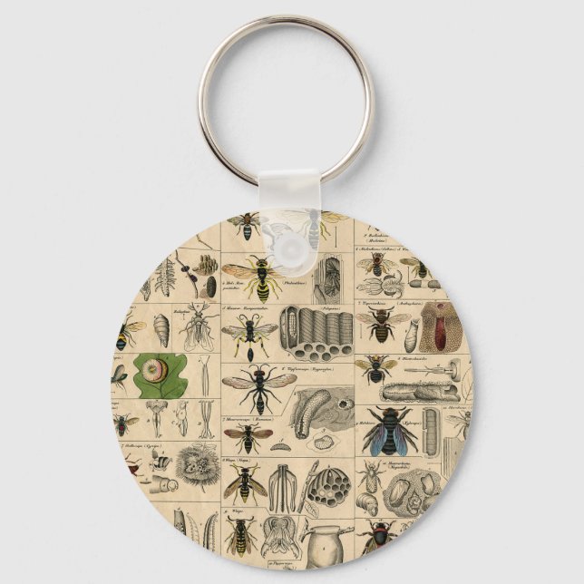 Antique Entomology Bees Wasps Natural History Key Ring (Front)