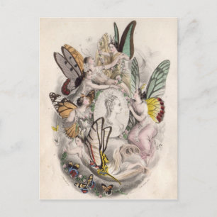Antique Fairies Faeries Nymphs Print Postcard