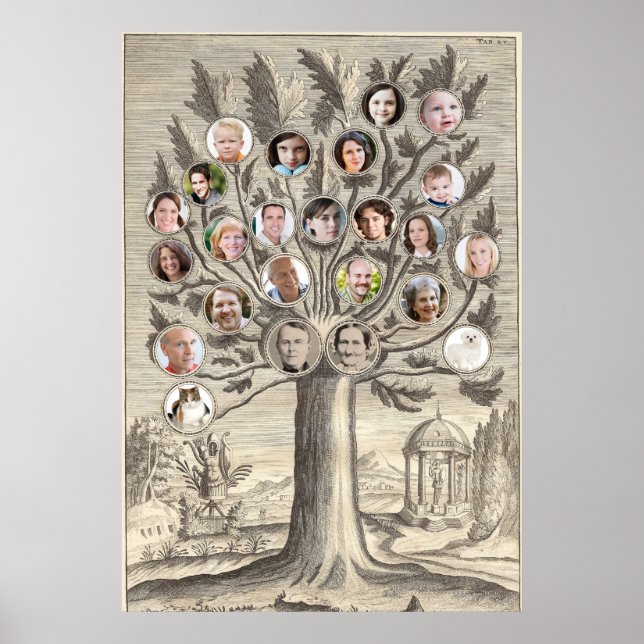 Antique Family Tree Insert Your Own Names & Photos Poster (Front)