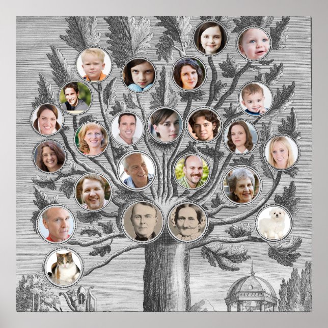 Antique Family Tree Insert Your Own Names & Photos Poster (Front)