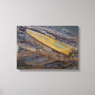 Antique Fishing Lure On Driftwood Canvas Print