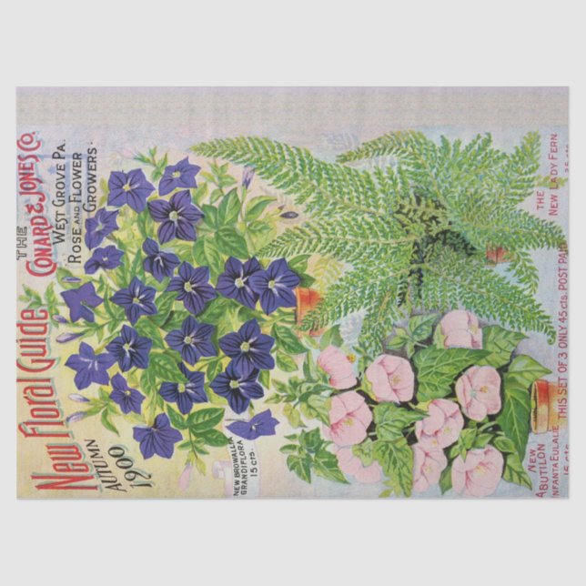 Antique Flower Catalogue Tissue Paper 17x23 (Front)