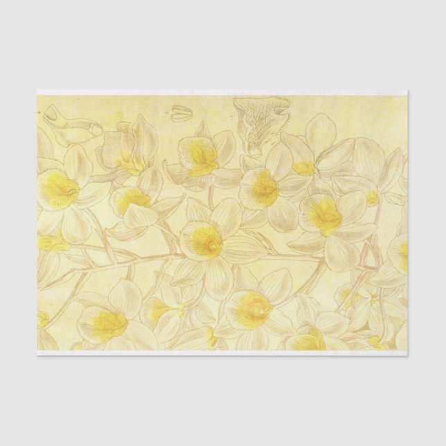 Antique Flowers Drawing with Yellow Decoupage  Tissue Paper (Front)