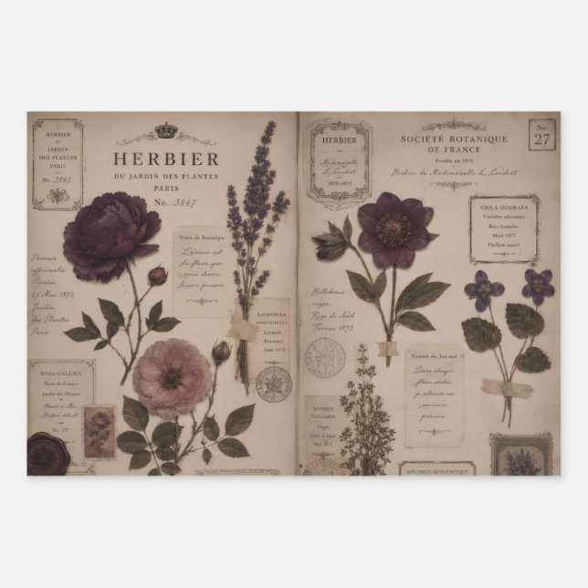 ANTIQUE FRENCH HERBARIUM COLLAGE WRAPPING PAPER SHEET (Front 2)