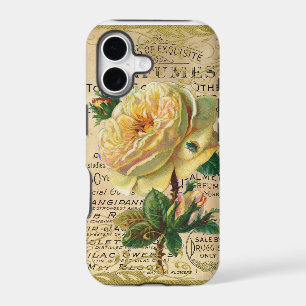 Antique French Roses