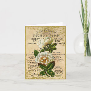 Antique French Roses Thank You Card