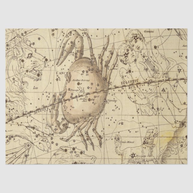 Antique Galaxy Map Series Design 4 Tissue Paper (Front)