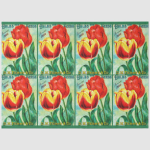 Antique Garden Advertisement, Yellow Red Tulips Tissue Paper