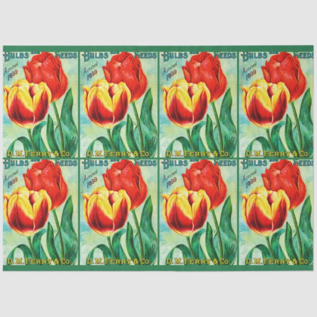 Antique Garden Advertisement, Yellow Red Tulips Tissue Paper (Front)