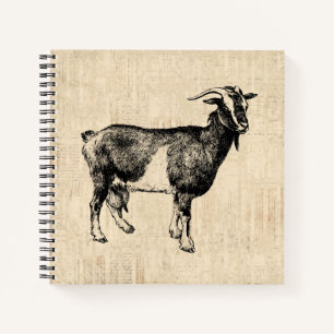Antique Goat Illustration with Script Background Notebook