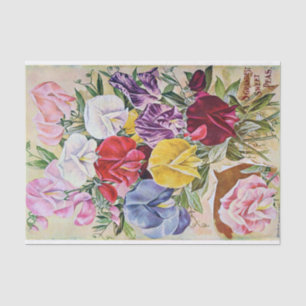 Antique Grandest Sweet Peas Tissue Paper
