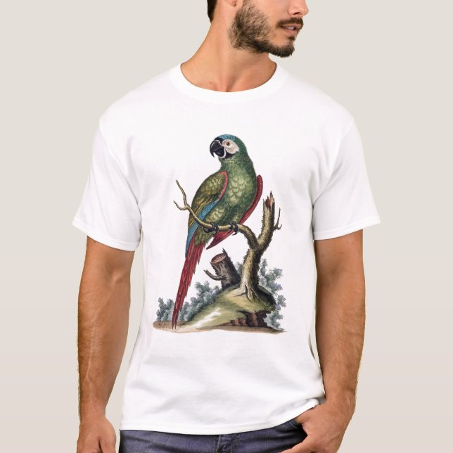 Antique Green Parrot T-Shirt (Front)