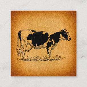 Antique Holstein Cow Farm Animal Illustration Enclosure Card