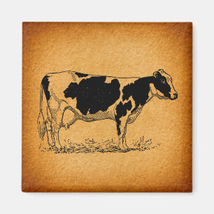 Antique Holstein Cow Farm Animal Illustration Magnet