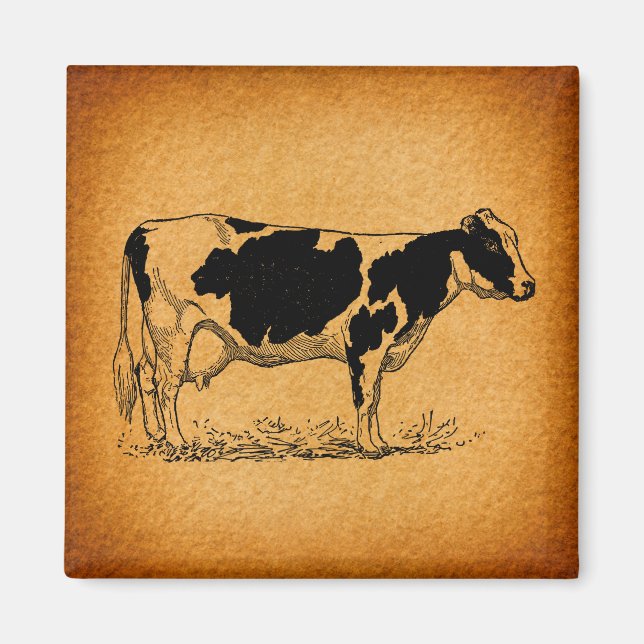 Antique Holstein Cow Farm Animal Illustration Magnet (Front)