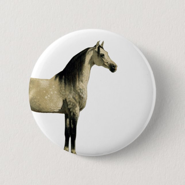 Antique Horses - Arabian 6 Cm Round Badge (Front)