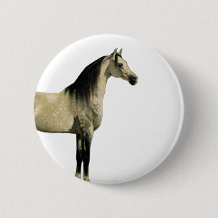 Antique Horses - Arabian 6 Cm Round Badge