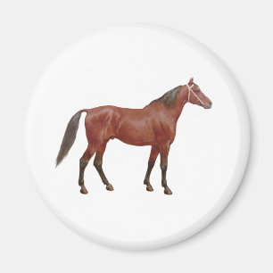Antique Horses - Thoroughbred Magnet