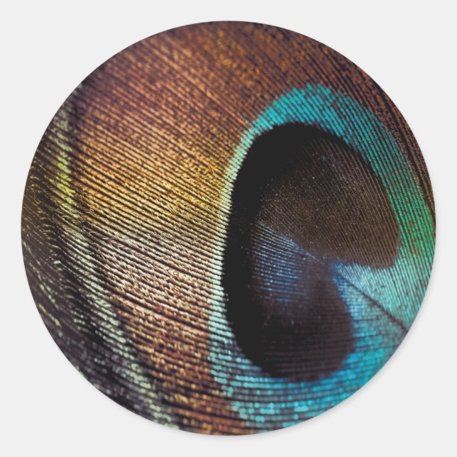 Antique Hues Peacock Feather Eye Classic Round Sticker (Front)