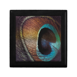 Antique Hues Peacock Feather Eye Gift Box